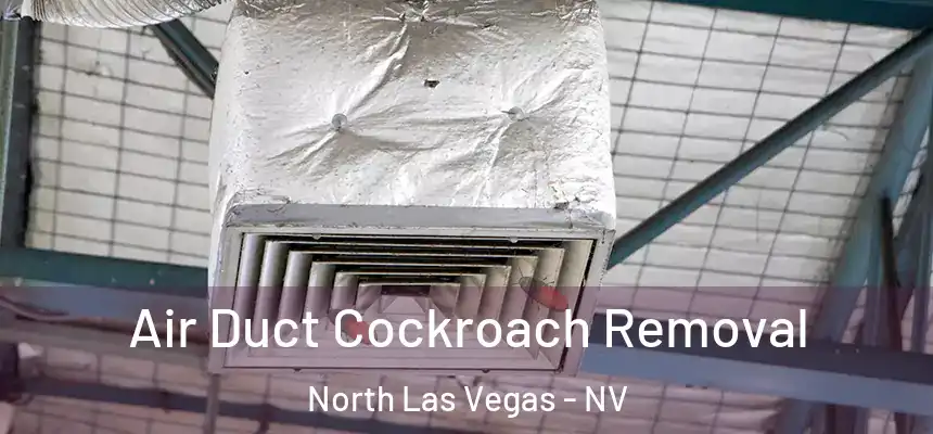 Air Duct Cockroach Removal North Las Vegas - NV