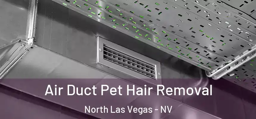  Air Duct Pet Hair Removal North Las Vegas - NV