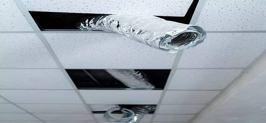 Our Air Duct Pet Hair Removal Services in North Las Vegas, NV