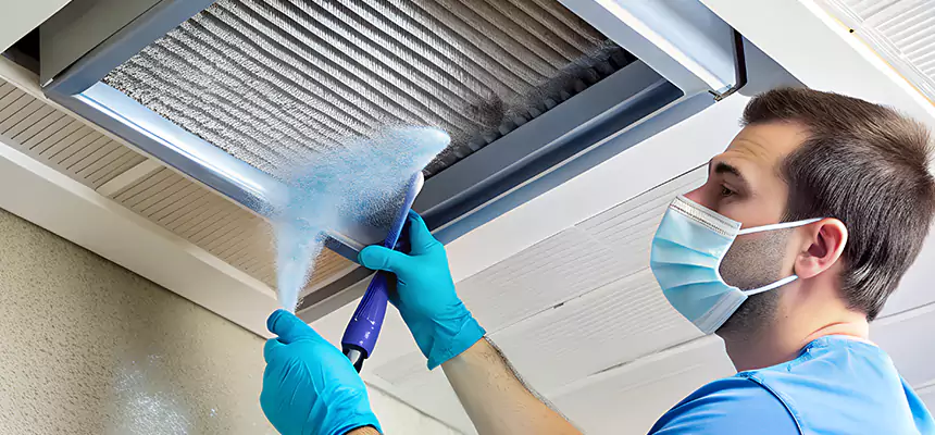Proactive Dryer Vent & Auxiliary Duct Pollen Cleanup in North Las Vegas, NV