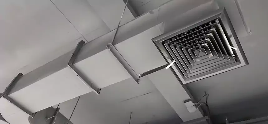 Restorative Allergy Relief Vent Cleaning – Coil, Blower & Housing Detail in North Las Vegas