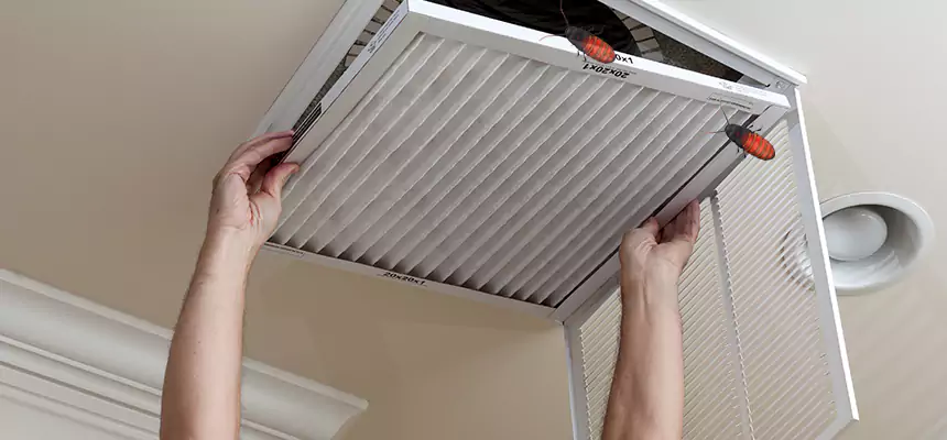 Our Insect Removal from Air Ducts Services in North Las Vegas, NV