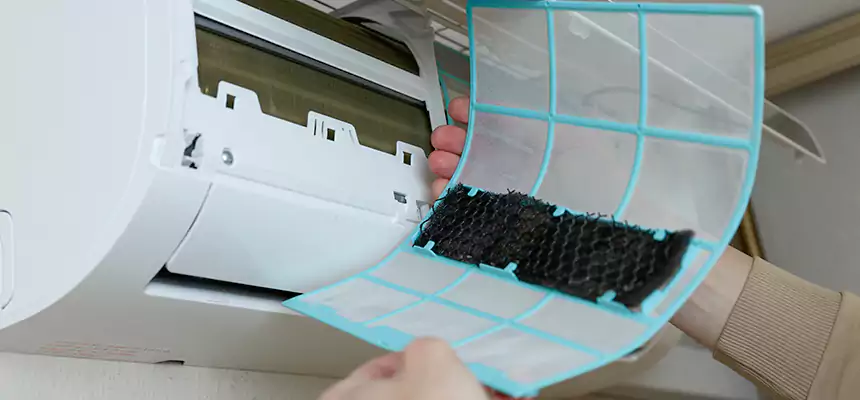 Gentle Ductwork Odor-Control Pet Dander Duct Cleaning in North Las Vegas, NV