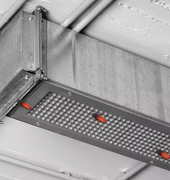 About Air Duct Cockroach Removal in North Las Vegas, NV