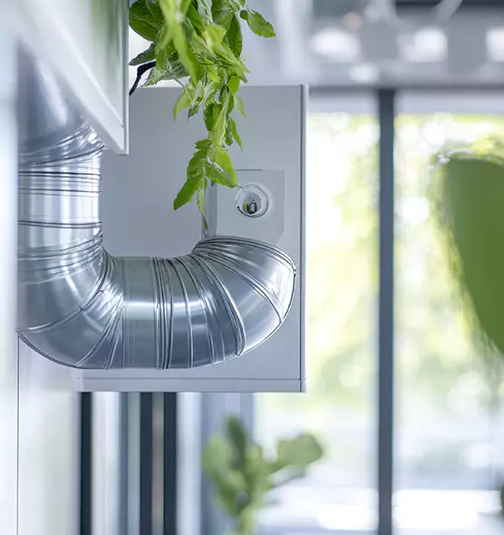 Professional Eco-Safe Dryer Vent Cleaning in North Las Vegas, NV