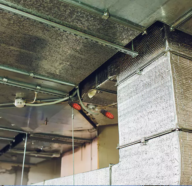 Why Homeowners & Businesses Trust Us in North Las Vegas, NV?