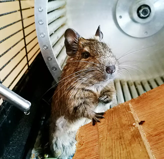 Why Homeowners & Businesses Trust Us North Las Vegas, NV?