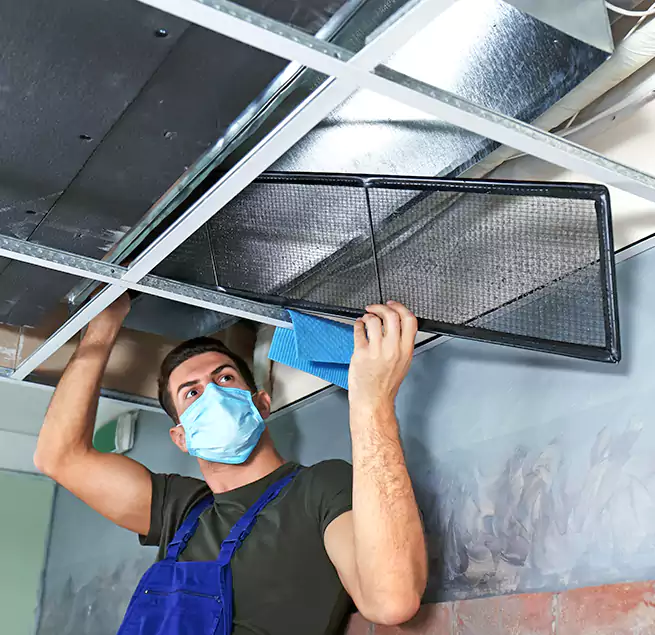 Why Homeowners Businesses Trust Us in North Las Vegas, NV